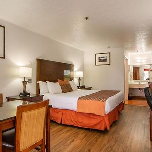 Suite One King Bed One Single Bed Non-Smoking